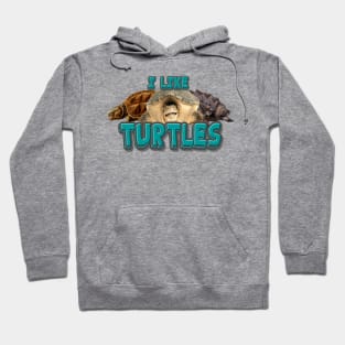 I like turtles Hoodie